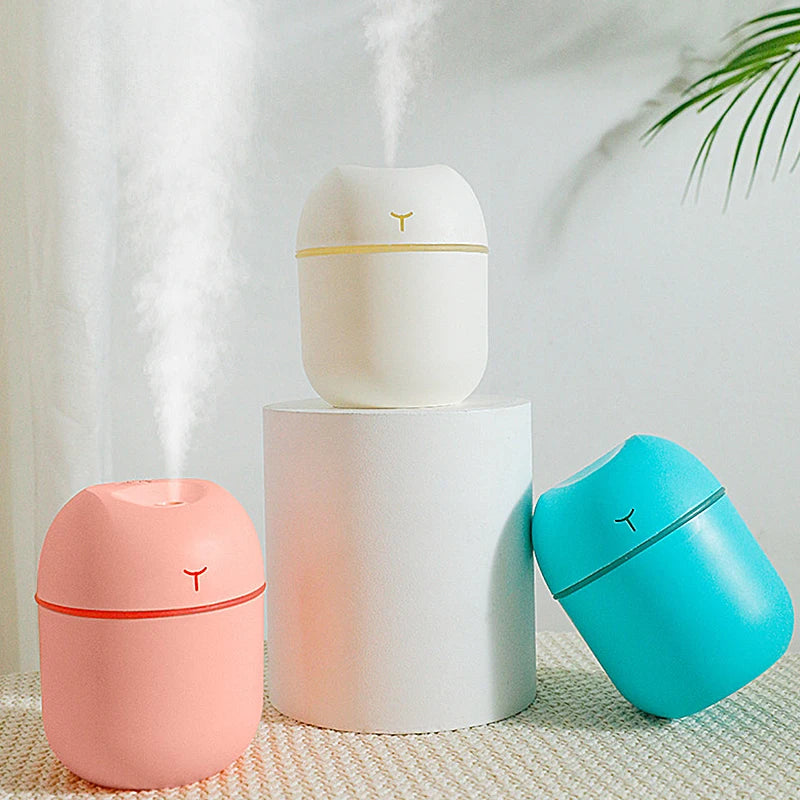 Ash and Anthem Multifunctional Mini Silent Home Use Humidifier Car