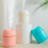 Ash and Anthem Multifunctional Mini Silent Home Use Humidifier Car