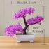 Ash and Anthem Artificial Bonsai Tree Decor