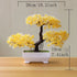 Ash and Anthem Artificial Bonsai Tree Decor