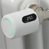 Ash and Anthem: Zigbee Smart Gateway for Your Home