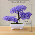 Ash and Anthem Artificial Bonsai Tree Decor