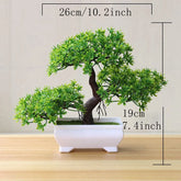Ash and Anthem Artificial Bonsai Tree Decor