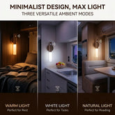 Ash and Anthem Motion Sensor LED Wall Light