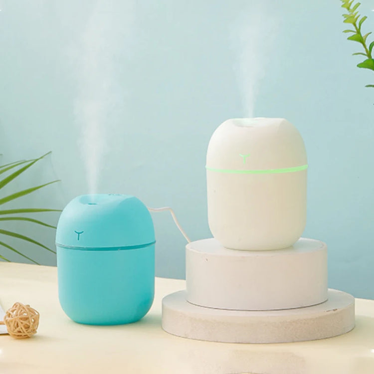 Ash and Anthem Multifunctional Mini Silent Home Use Humidifier Car