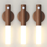 Ash and ANTHEM Smart Motion Sensor Night Light LED Rechargeable 